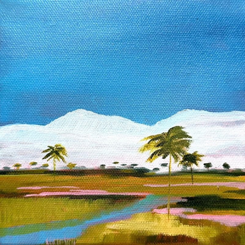 Summer Sky