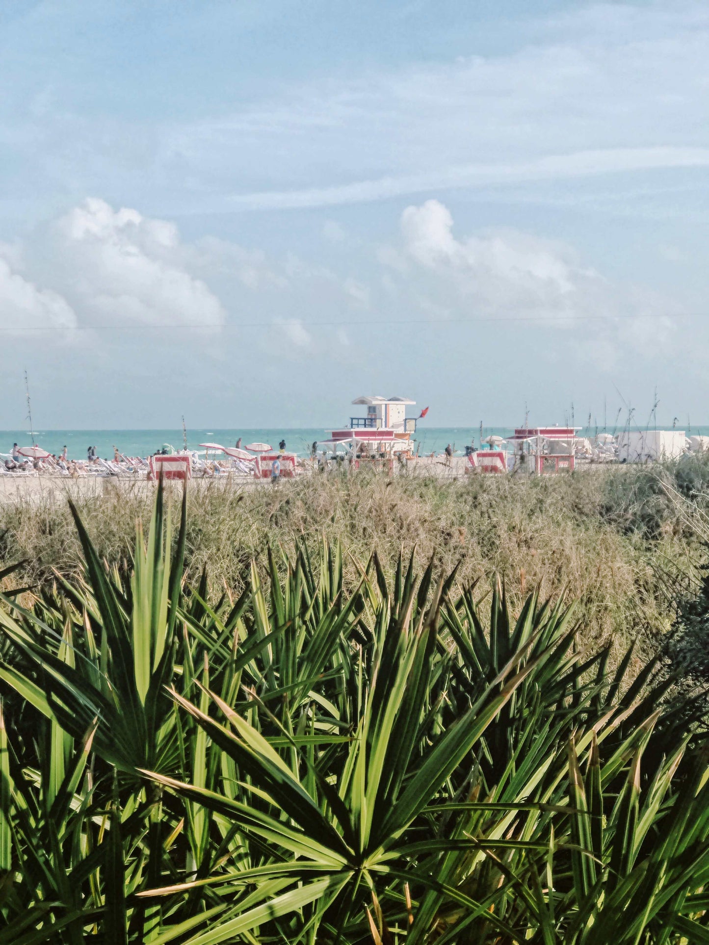 A Miami Summer