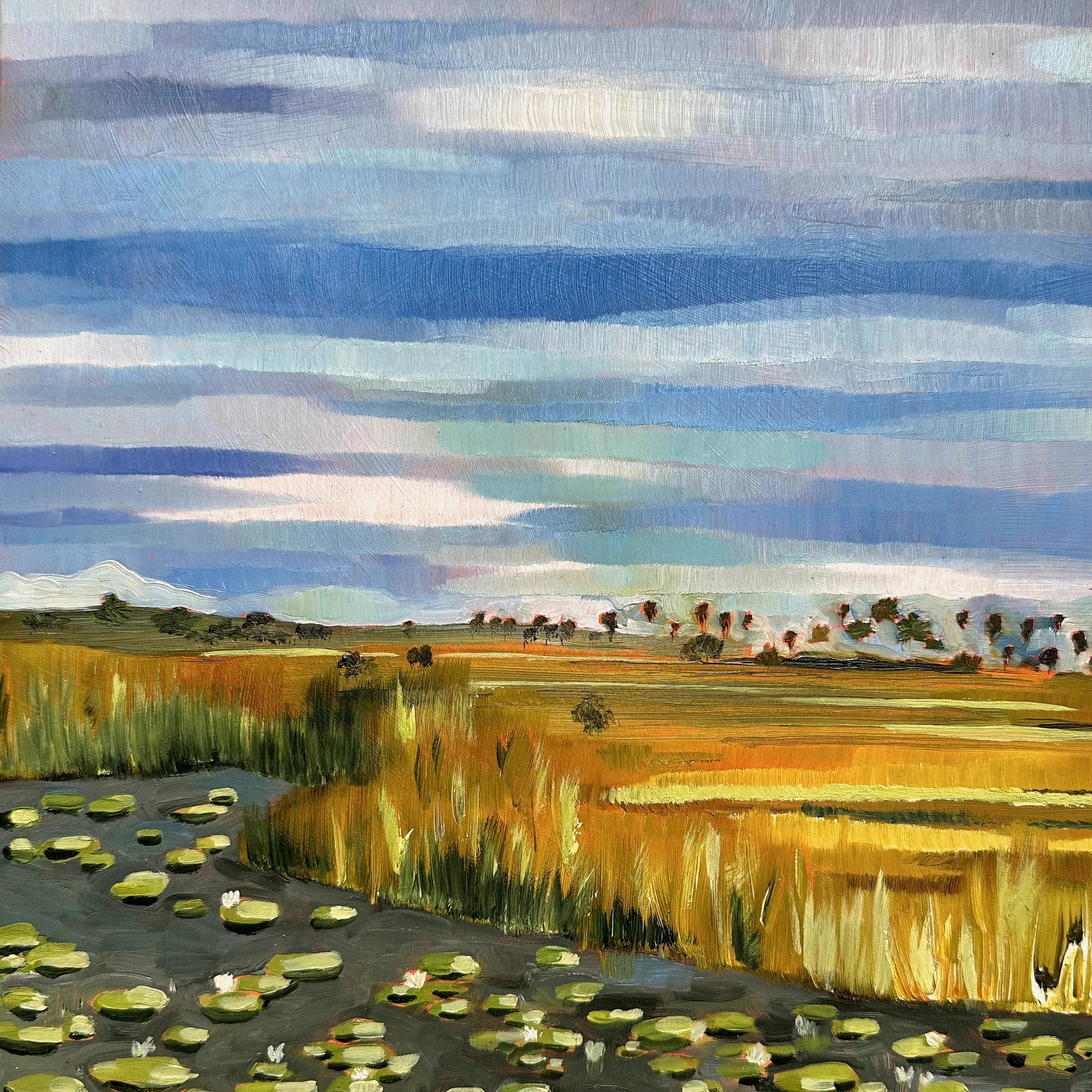 Everglades Lily Pads