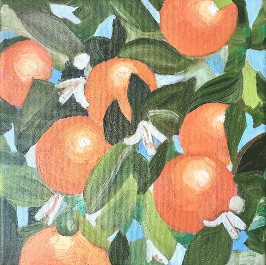 Florida Oranges I