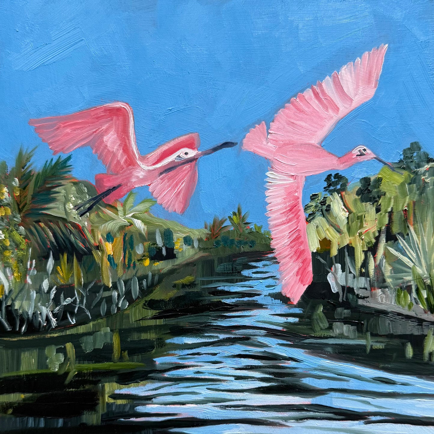 Roseate Pair