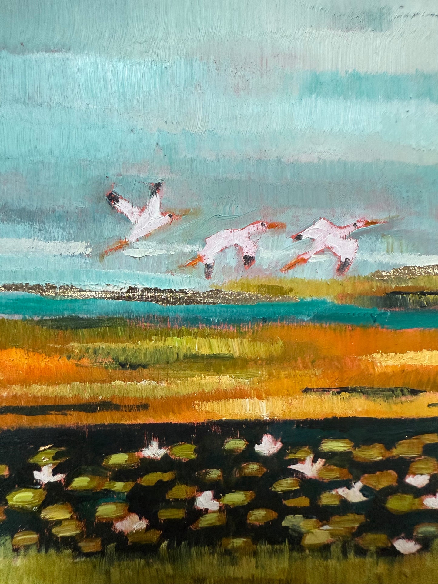 White Ibis