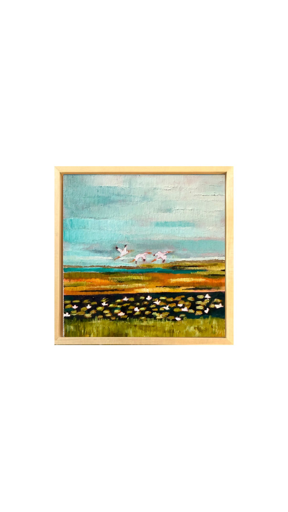 White Ibis