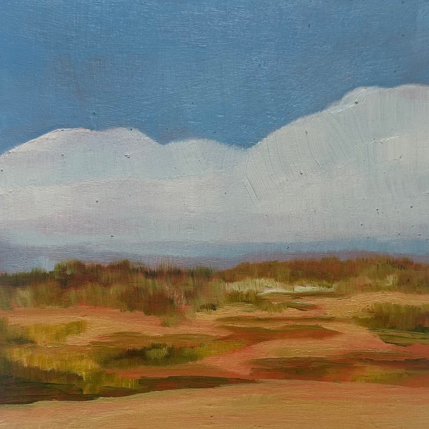 Chappy Dunes