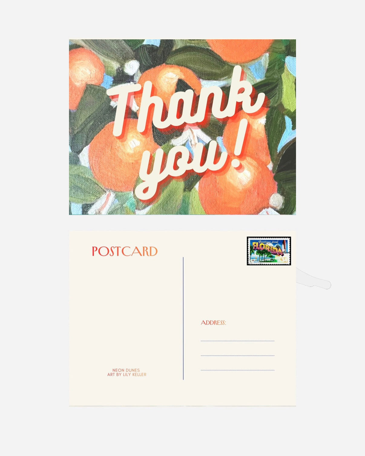 Vintage Florida Postcard Pack