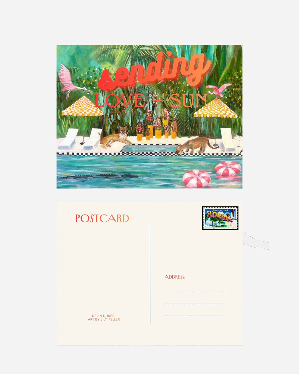 Vintage Florida Postcard Pack