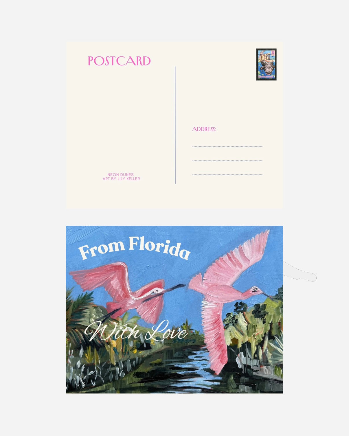 Vintage Florida Postcard Pack