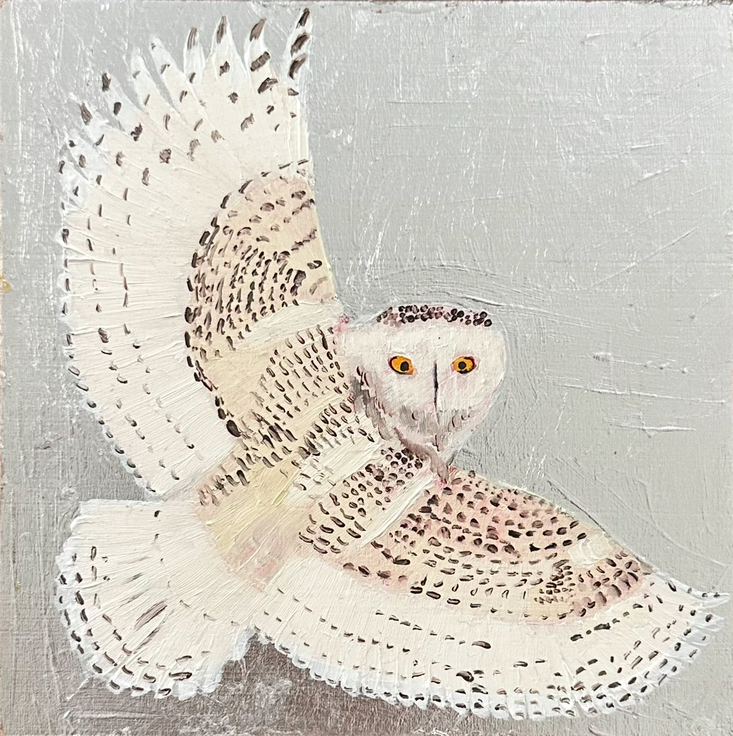 Owl in Sliver
