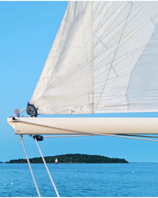 Maine Sail