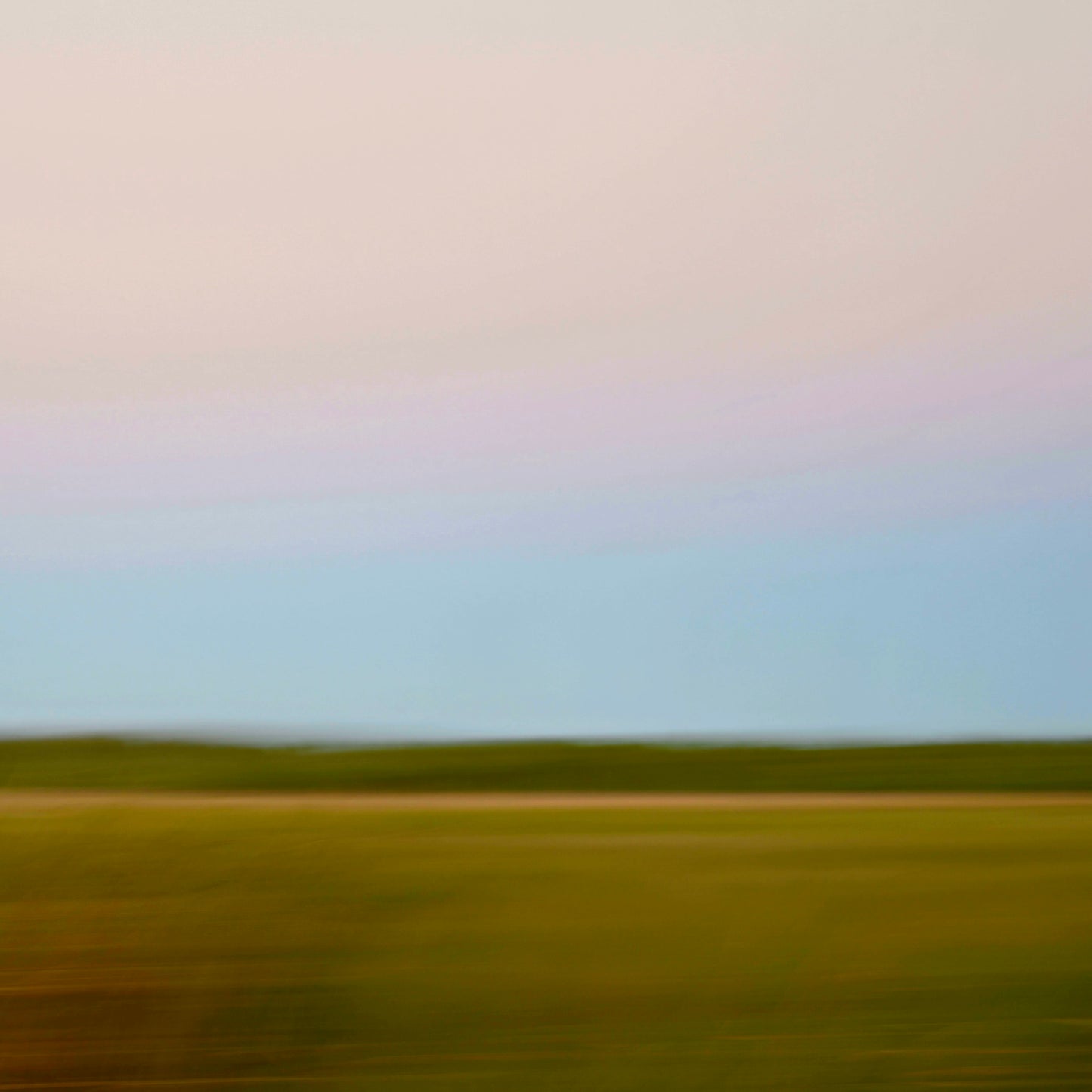 Alligator Alley