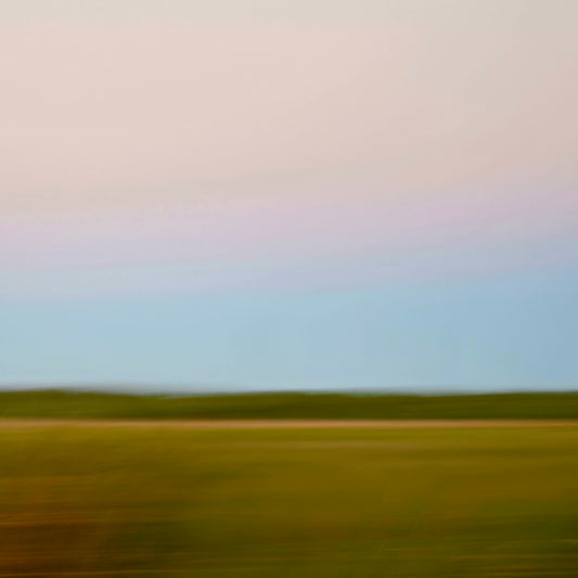 Alligator Alley